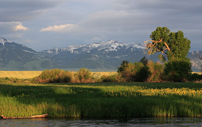 Madison River